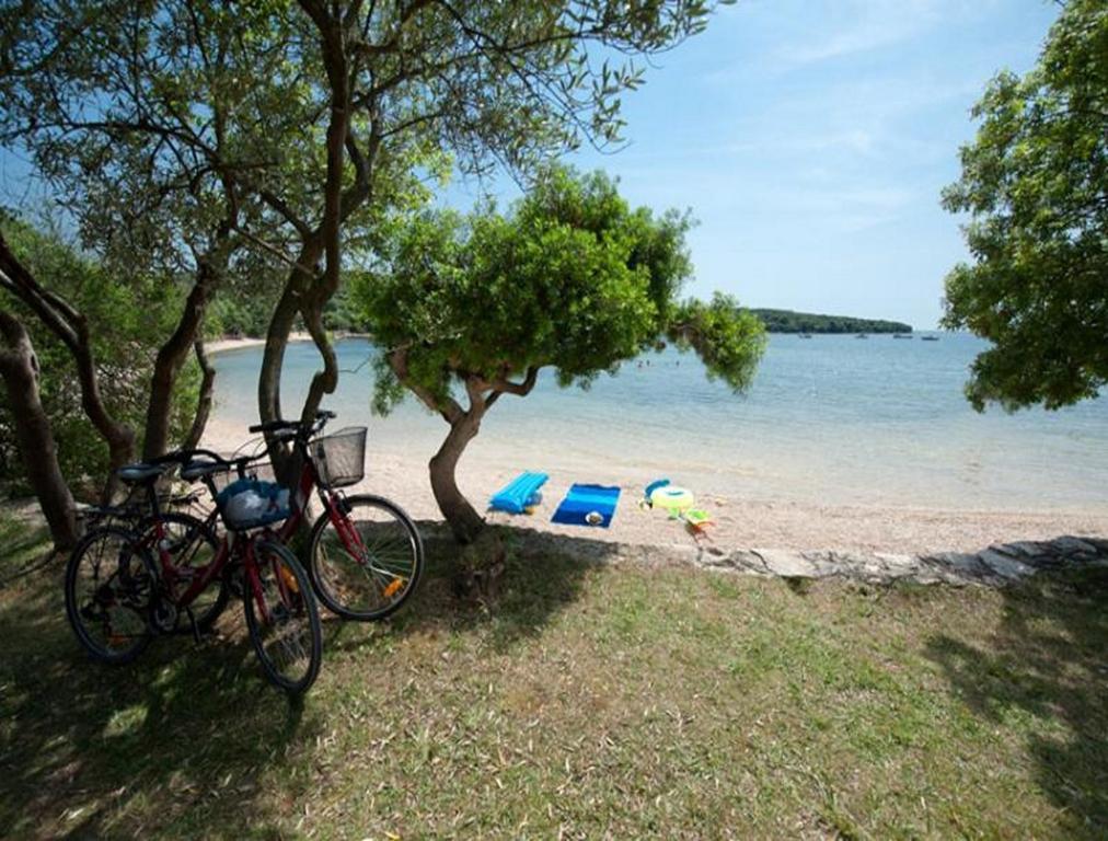 Casa Leona Lejlighed Rovinj Eksteriør billede